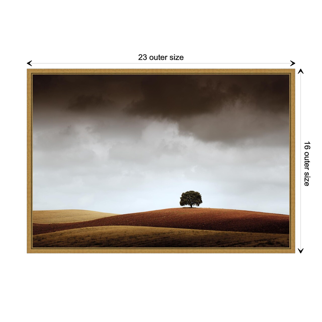 Distant Tree and Horizon by Alberto Merchan Canvas Wall Art Print Framed